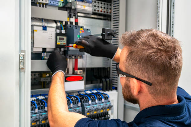 Best Residential Electrician Services  in Dassel, MN