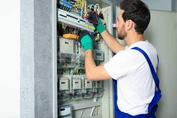 Best Home Electrical Repair  in Dassel, MN