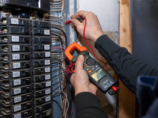 Best Licensed Electrician  in Dassel, MN