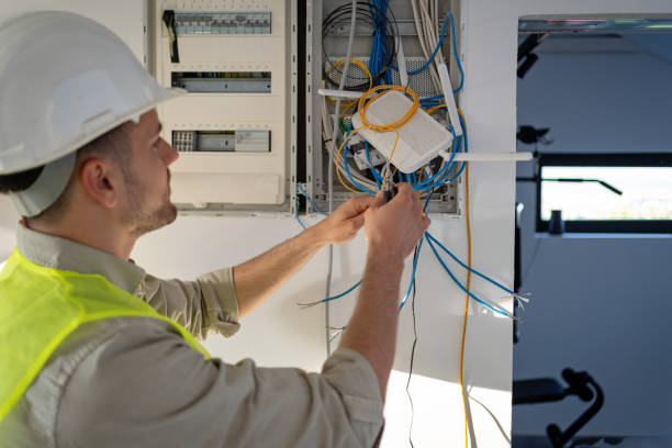 Best Affordable Electrician  in Dassel, MN