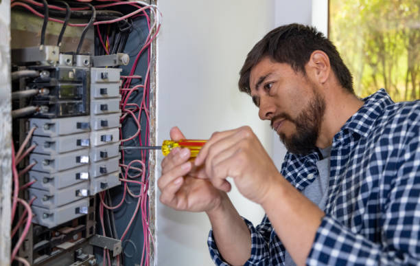 Best Electrical Outlet Repair  in Dassel, MN